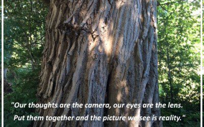 “Our thoughts are the camera, our eyes are the lens. Put…