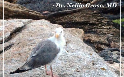 “Greet life where it meets you.”…