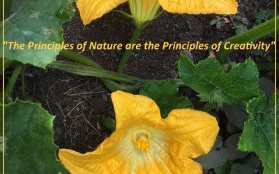 “The Principles of Nature are the Principles of Creativity”