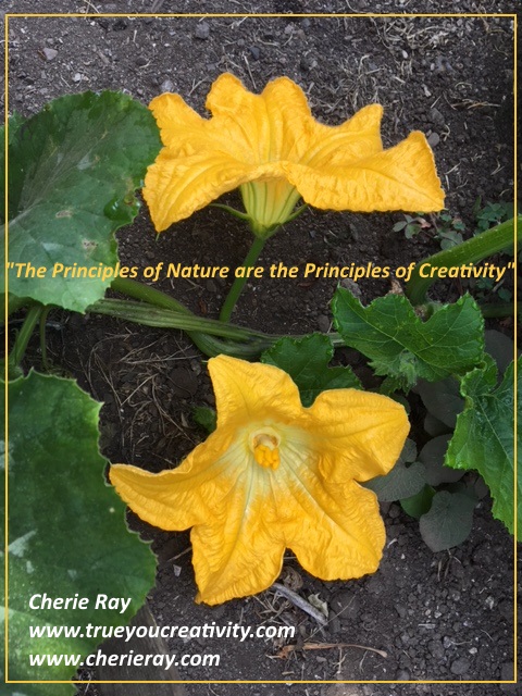 principles of nature