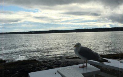 “With a sincere and open heart,…”