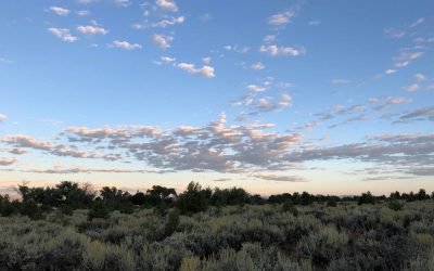 Following Quirky Inspiration