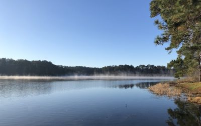 Following the Inspirations that Come