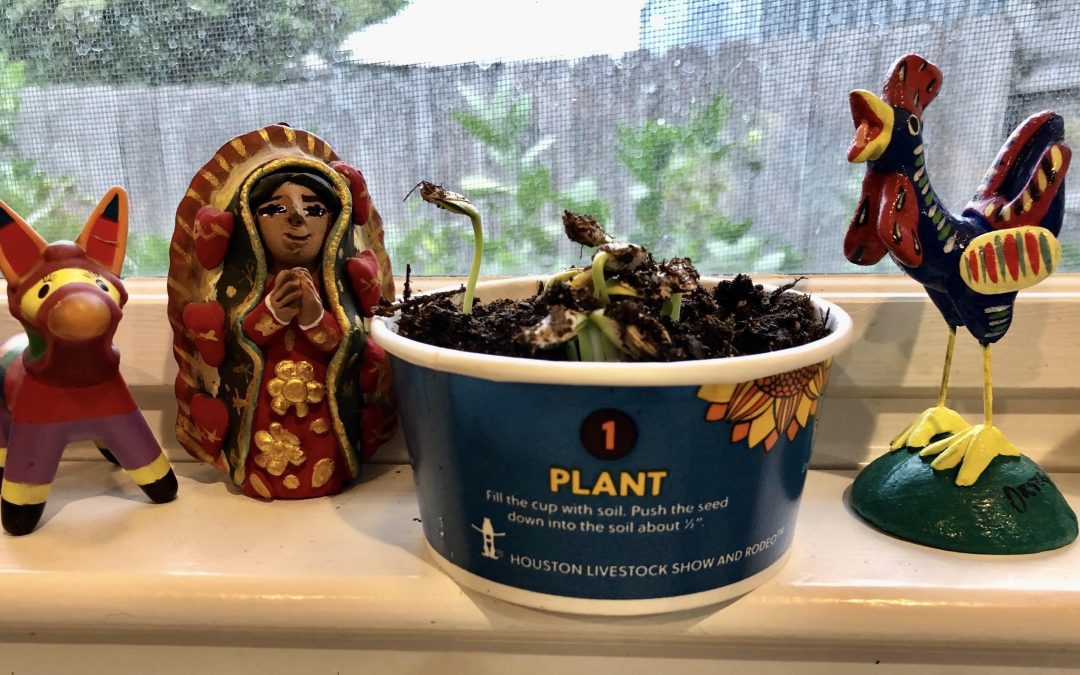 Thrive where you are