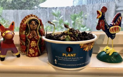 Thrive Where You Are