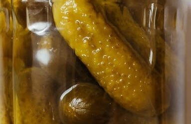 I Don’t Want to Be a Pickle