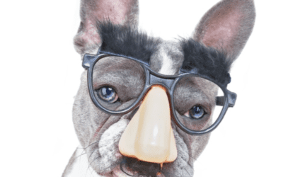 What Are You Producing?